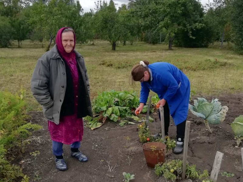 Осень - время сбора урожая