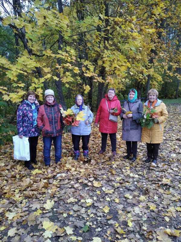 Скандинавская ходьба в ОДП