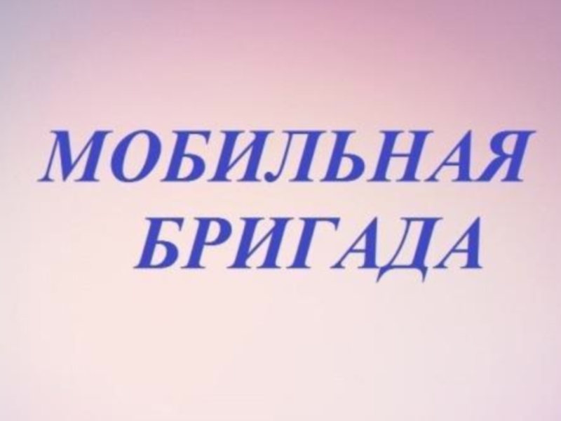 Мобильная бригада