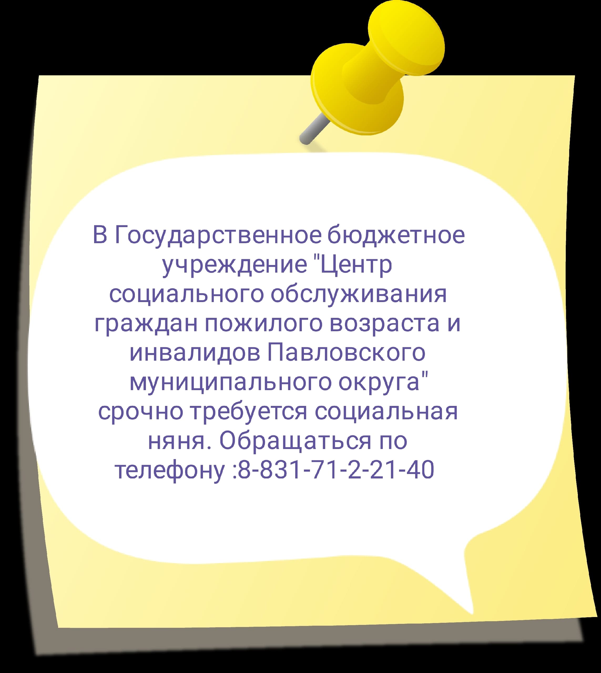 Социальная няня