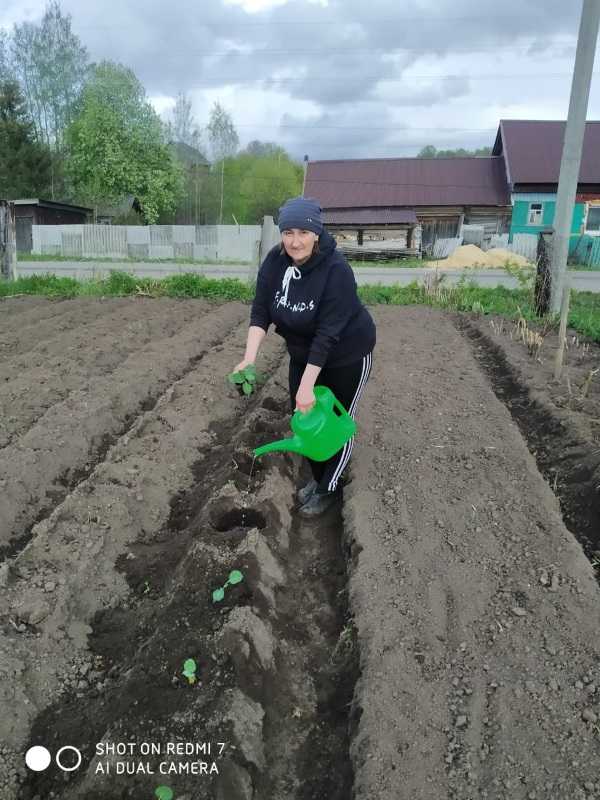 Огородные работы