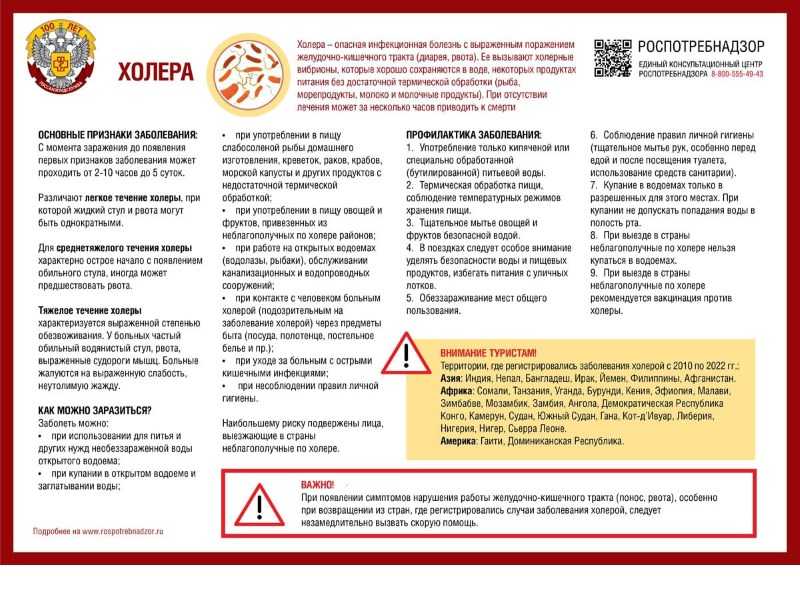 Осторожно, холера!