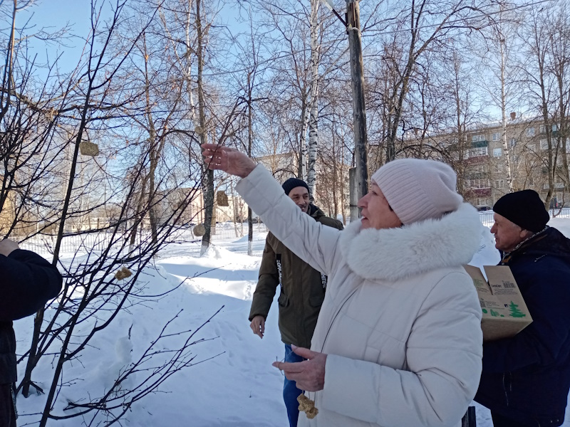 Эко кормушки заняли свои почетные места 